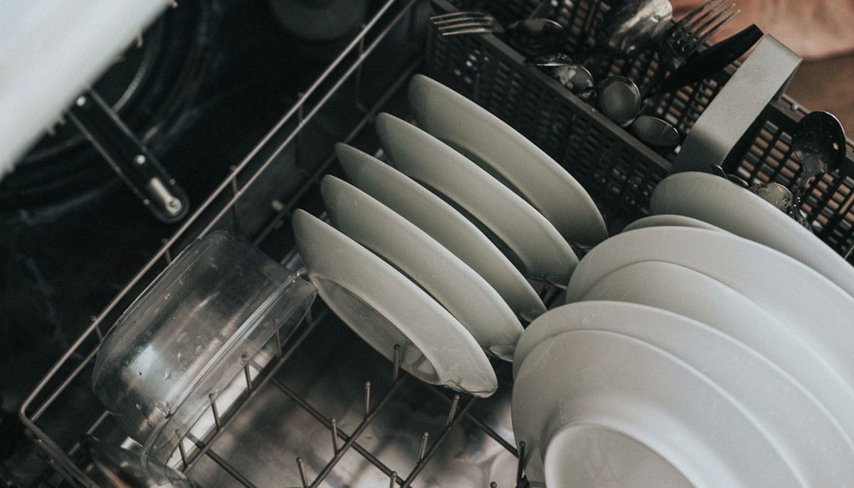 How to Clean Smelly Dishwasher Drain Hose