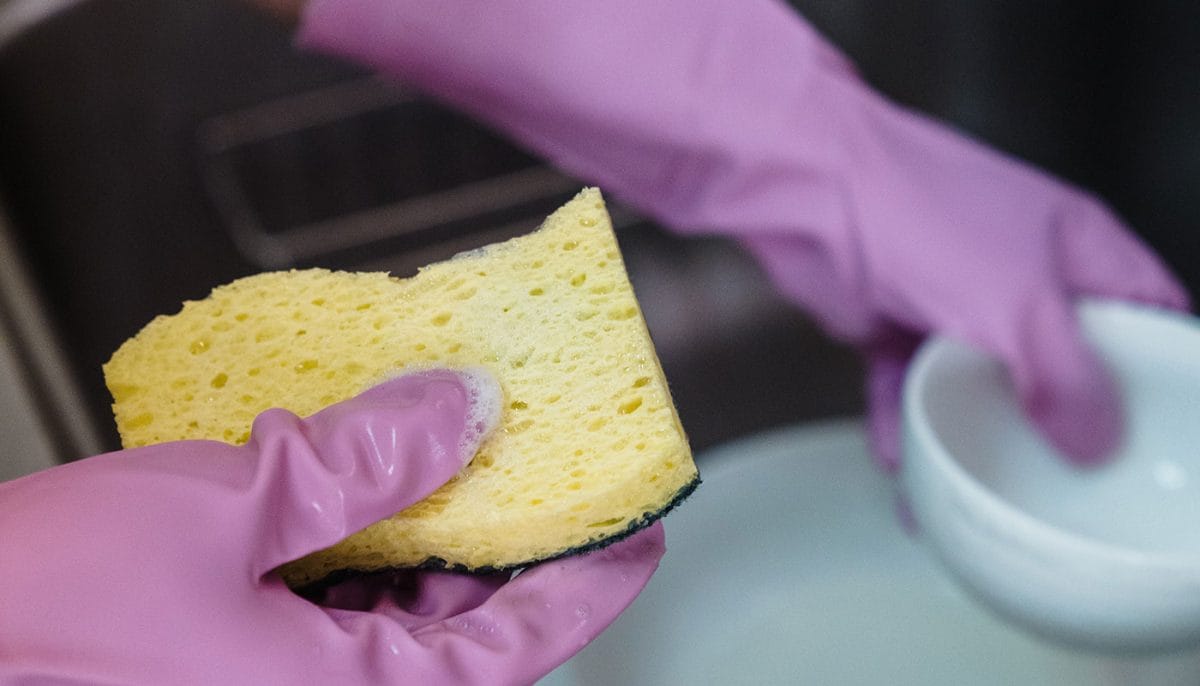 how to avoid smelly sponges in the kitchen