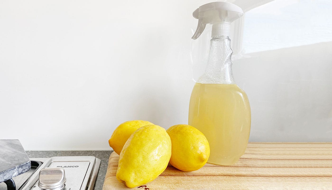 How To Clean Garbage Can With Vinegar No More Smelly Bins