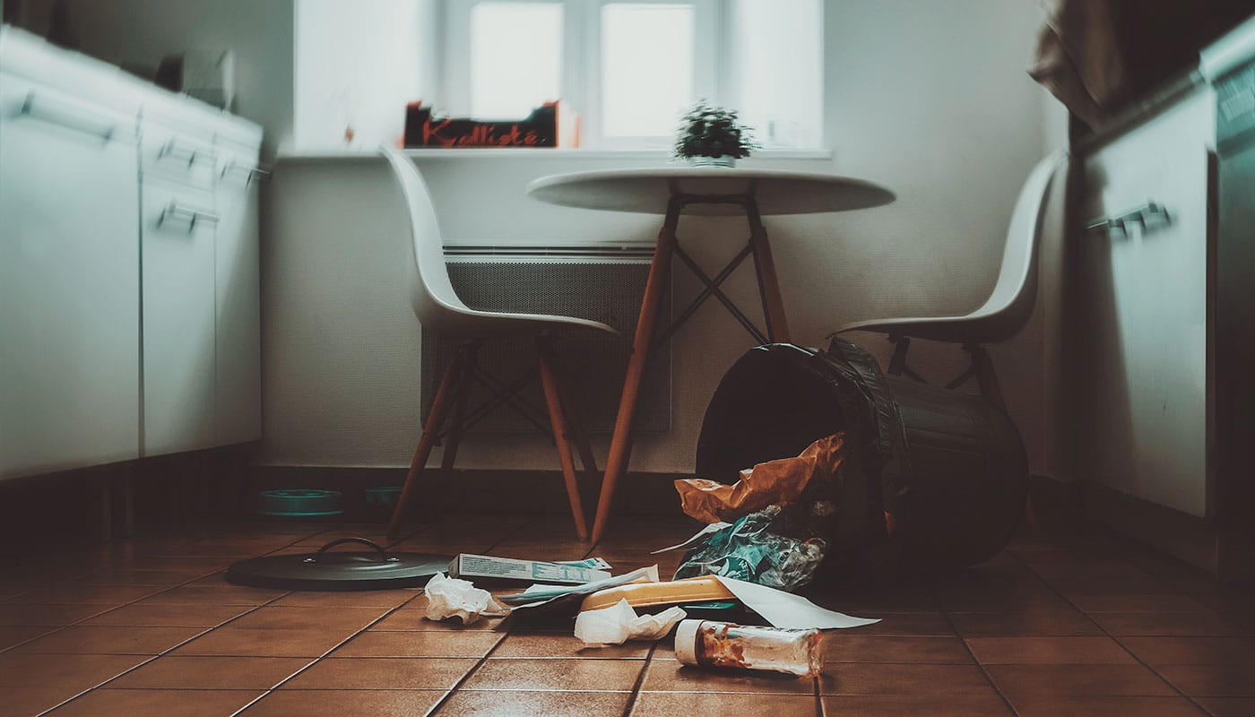 Garbage Smell In The Kitchen What Causes It and How To Fix