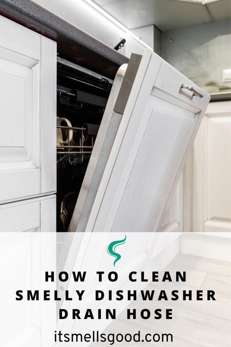 How to Clean Smelly Dishwasher Drain Hose