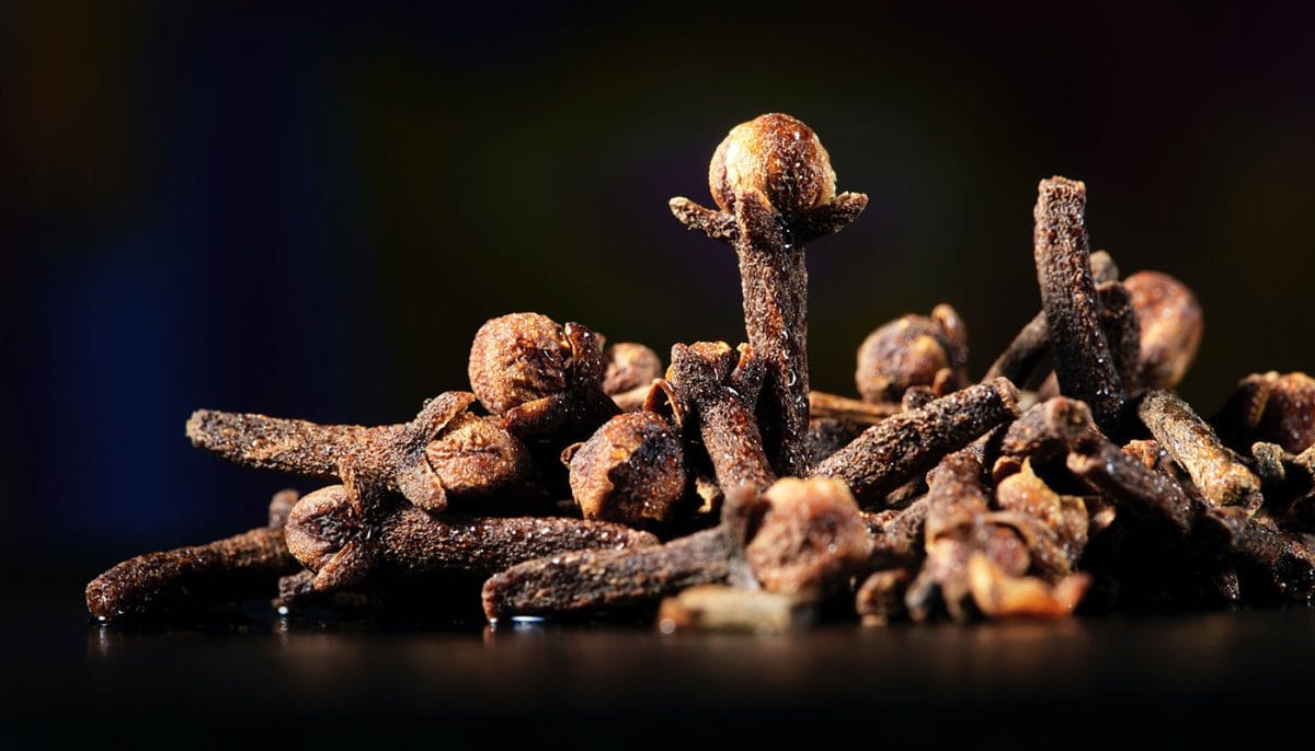 bunch of cloves spice