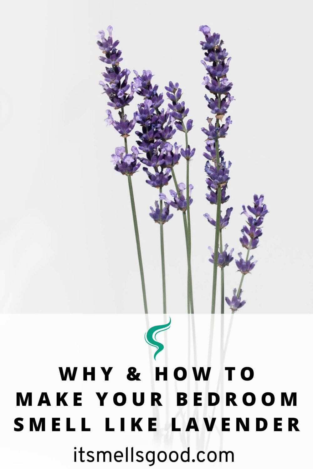 benefits of lavender scent for sleep - Pinterest image