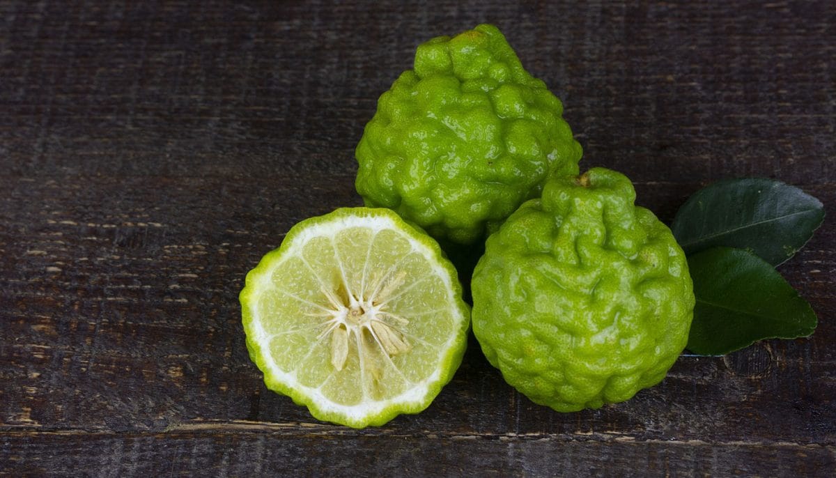 bergamot oranges fragrant citrus fruits
