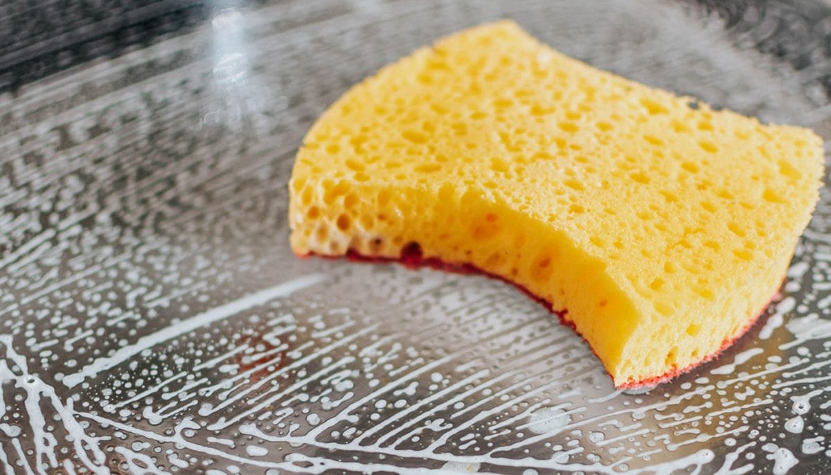 kitchen sponges that don't smell