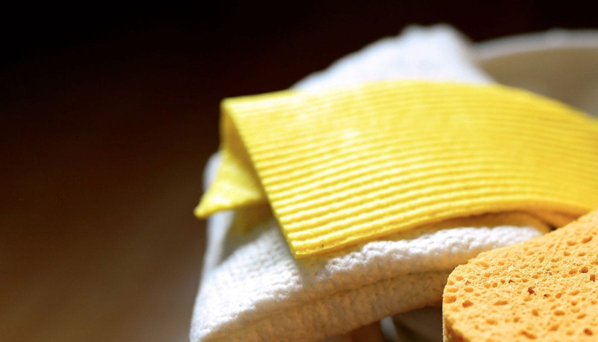 best dish cloths that don't smell