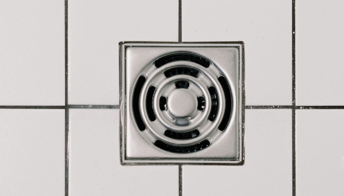shower drain