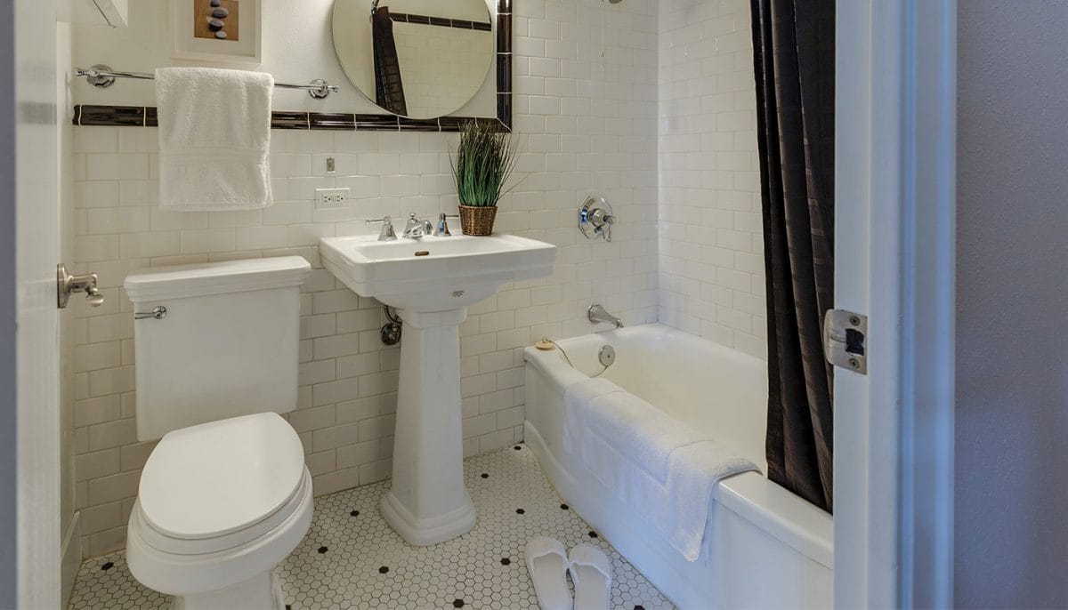 spray for toilet before you poop